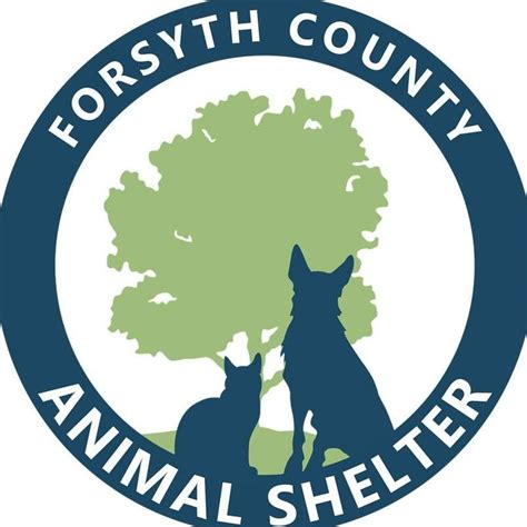 Forsyth county animal shelter nc - Welcome to the Forsyth County Animal Shelter. The Forsyth County Animal Shelter will reopen to the public for adoptions and scheduled surrenders on Saturday, April 15. The …